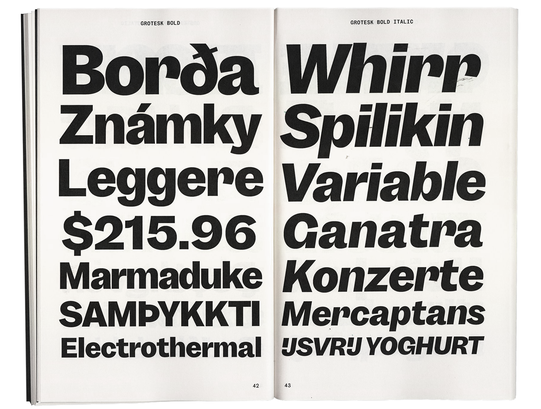 Garnett-thesis-grotesk