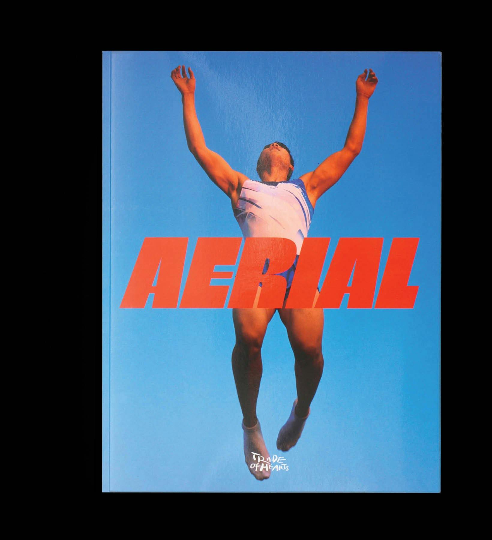 aerial