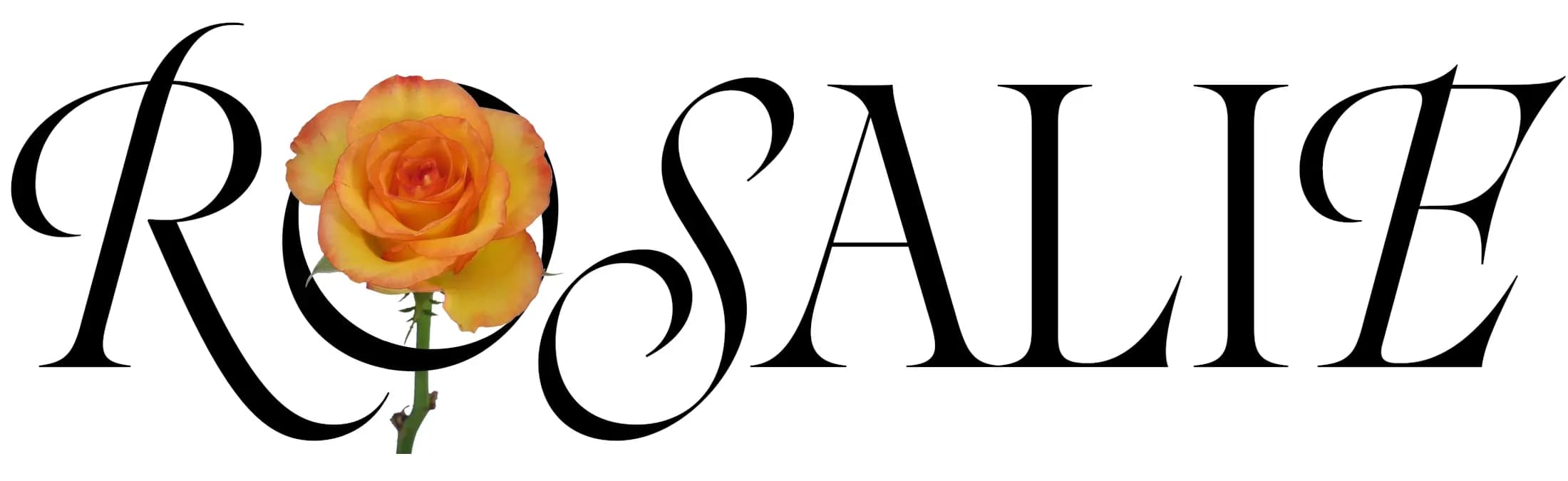 rosa